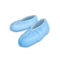 Shoe Protector
